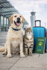 travel pets 3