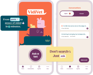 VidiVet app promo