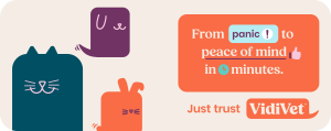 VidiVet peace of mind banner